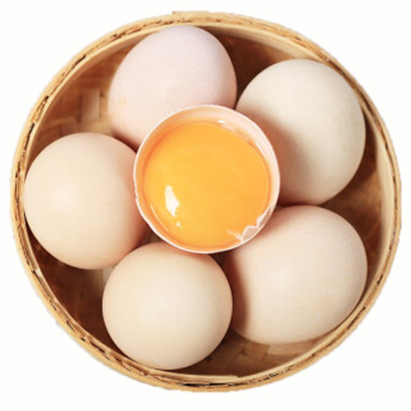 正宗土鸡蛋农家散养新鲜纯农村自养天然草鸡蛋笨鸡蛋50枚/箱